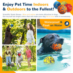 Balles Petcare indestructibles en action lors d'une séance de jeu extérieure.