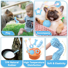 Petcare jouet anneau beignet bleu attractif pour l'entraînement