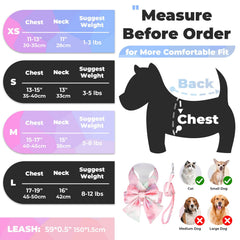 Laisse PETCARE arc-en-ciel rose, complément parfait pour l'ensemble lors des sorties.