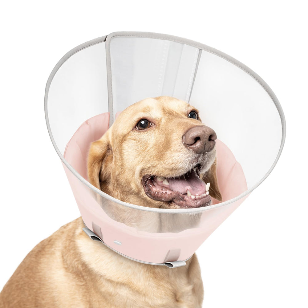 Petdream Cône de récupération rose XL—protection maximale lors de la cicatrisation.