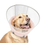 Petdream Cône de récupération rose XL—protection maximale lors de la cicatrisation.