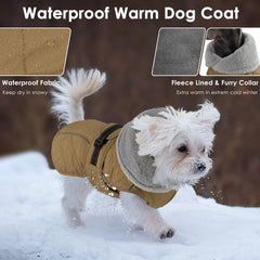 Petglad doublure polaire manteau chien garde au chaud en hiver
