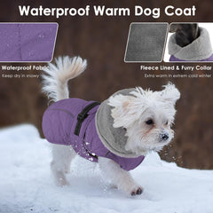Vue arrière du manteau Petglad, coupe ajustee et chaleur enveloppante.