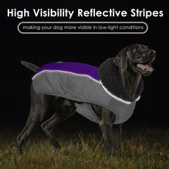 Petglad manteau chien trou pour laisse facilite les promenades.