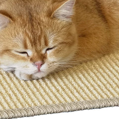 Pethave tapis grattoir anti dérapant idéal pour chats actifs