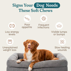 Texture délicieuse PetHeal Cancer Care Chews pour chiens exigeants