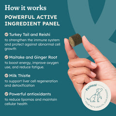 PetHeal Immune Plus – ingrédients clés Turkey Tail et Reishi pour soutenir les défenses.