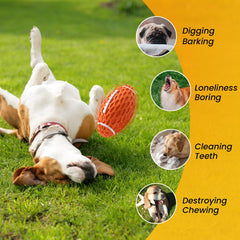 Petinstinct balle chien elasticite optimale, équilibre dureté-douceur pour chiots.