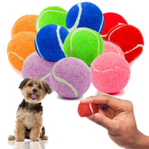 Balles rouges Petite Paws avec couinement, parfaites pour jeux en extérieur