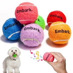 Petite Paws balle mini qui siffle, arc-en-ciel, idéale pour des jeux interactifs.