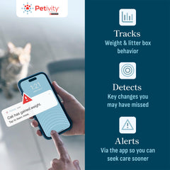 Petivity suivi-poids-chat-en-direct: visualisation claire du poids du chat.
