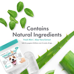 Petkin Fingertip haleine fraîche menthe et aloès après chaque passage.