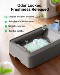 PETKIT Crystal controle-odeurs : réduction efficace des odeurs dans la pièce