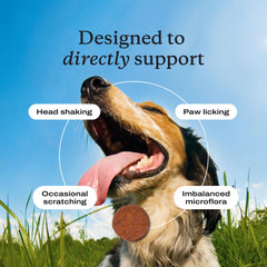 PetLab Co Probiotiques chien – soutien levure santé, photo détail.
