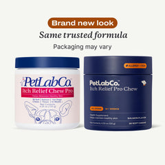 Friandises saumon PetLab Co, faciles à mâcher pour chiens actifs.