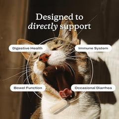 PetLab Co Probiotiques chat – assiette chat, intégration facile au repas.