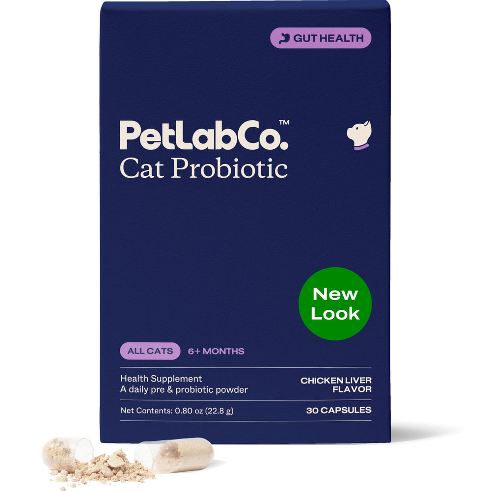 PetLab Co Probiotiques chat – bouteille, soutien digestif potentiel.