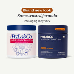 PetLab Co Itch Relief Pro : huile d’anchois oméga-3 pour peau saine du chien.