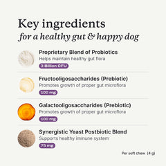 PetLab Co Probiotiques chien – 8 souches bénéfiques équilibre intestinal