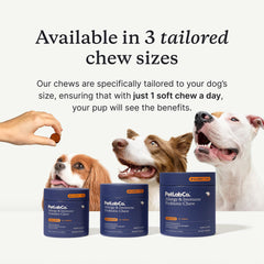 PetLab Co Probiotiques chien – santé digestive quotidienne.