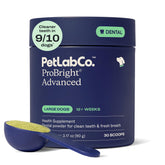Poudre Dentaire ProBright de PetLab Co: bouteille pratique pour chiens adultes.