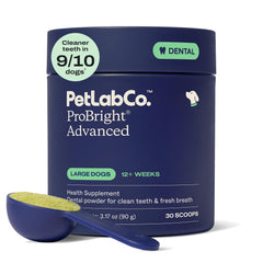 Poudre Dentaire ProBright de PetLab Co: bouteille pratique pour chiens adultes.