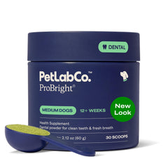 PetLab Co ProBright Poudre Dentaire Chien – sourire frais et nettoyage simplifié.