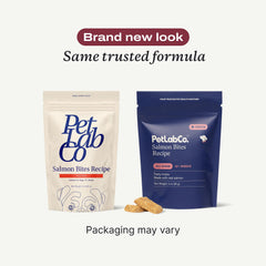 PetLab Co. Salmon Bites, snack pour chien au goût saumon irrésistible.