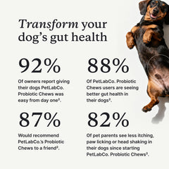 PetLab Co Probiotiques pour chien – bouchées souples: plaisir quotidien et équilibre intestinal.