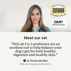 Probiotiques PetLab Co pour chien – prébiotiques inuline et citrouille: soutien digestif naturel.