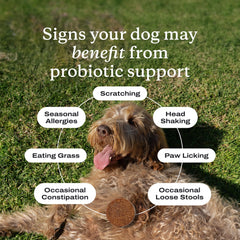 PetLab Co Probiotiques: prébiotiques et inuline pour digestion douce.