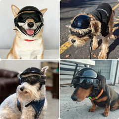 Casque PETLESO pour chien avec ouvertures pour les oreilles et maintien sûr.