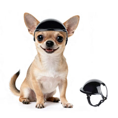 Casque PETLESO XS pour chien en ABS, protection légère pour petites têtes