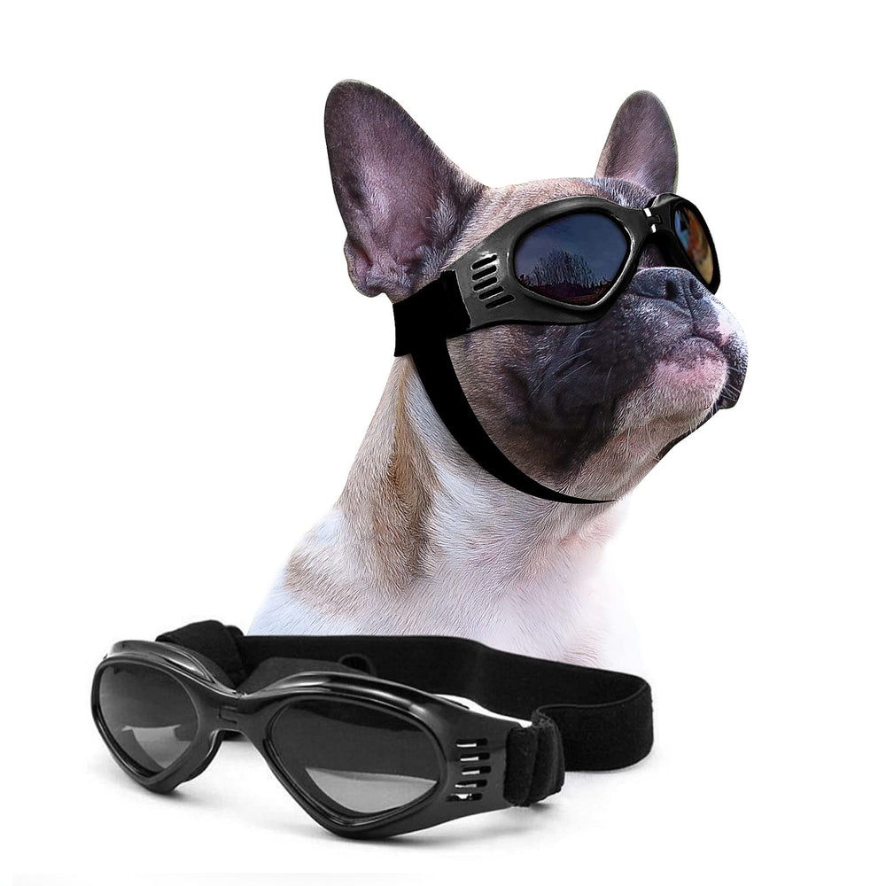 Petleso Lunettes chien face avant – protection et clarté lors des sorties quotidiennes