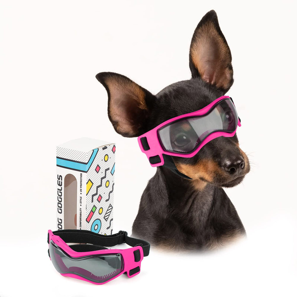 Lunettes PETLESO pour chien de petite race, protection efficace du visage.