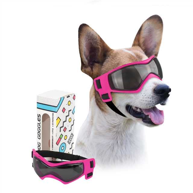 Lunettes PETLESO pour chien: protection UV parfaite lors des sorties ensoleillées.