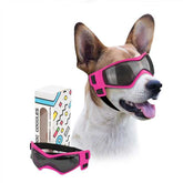 Lunettes PETLESO pour chien: protection UV parfaite lors des sorties ensoleillées.