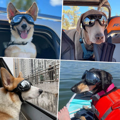 PETLESO lunettes chien protection yeux poussière, utilisation quotidienne sûre.