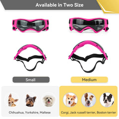 Lunettes PETLESO pour chien: verre anti-brouillard en polycarbonate pour plus de clarté.