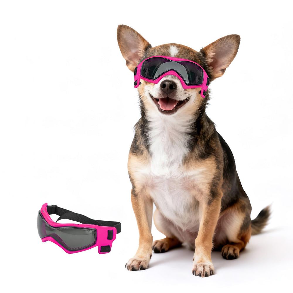 Lunettes PETLESO pour chien XS, face avant, protection des yeux lors des balades en plein soleil.