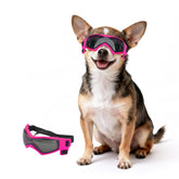 Lunettes PETLESO pour chien XS, face avant, protection des yeux lors des balades en plein soleil.