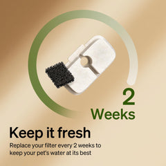 Remplacement rapide PETLIBRO Dockstream, filtration facile et entretien réduit.
