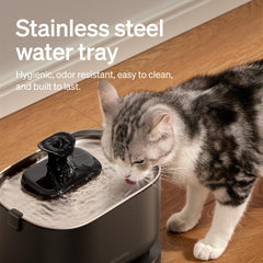 PETLIBRO fontaine-eau-chat-mode-induction-capteur-radar détecte votre chat pour activer le débit seulement en présence.