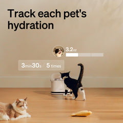 Reconnaissance par collier RFID pour hydratation personnalisée et notifications via l’application