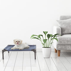 PETMAKER lit-avec-etui-portage bleu – transport facile lors des voyages.