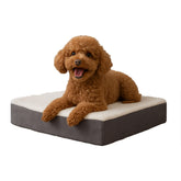 PETMAKER tapis orthopédique pour chien en mémoire de forme 20x15 gris offrant un soutien durable