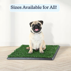 PETMAKER Tapis-pipi gazon artificiel, nettoyage rapide grâce à ses couches lavables.