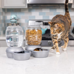 Petmate Replendish: distributeur automatique d’eau en action offrant eau fraîche prolongée.
