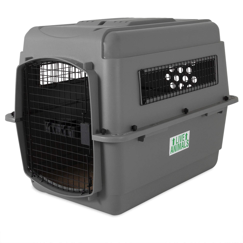 Petmate Sky Kennel – intérieur spacieux pour chien moyen, confort en voyage.