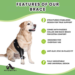 Petometry-genou-chien-reglable-elastique-nonglissant assure un maintien personnalisé